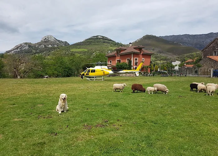 Rural El Torrejon